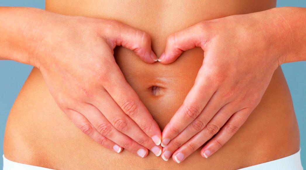 Tu ecosistema interior cómo la microbiota influye en tu salud